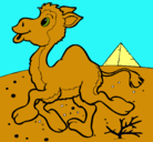 Dibujo Camello pintado por zinzi