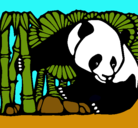 Dibujo Oso panda y bambú pintado por juancarlos