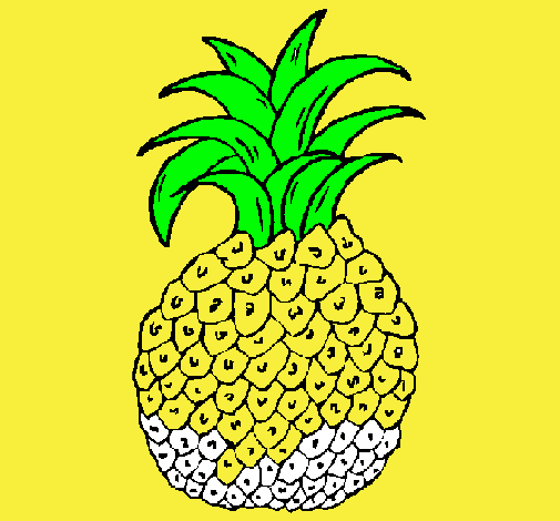 piña