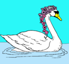 Dibujo Cisne con flores pintado por AMANDA
