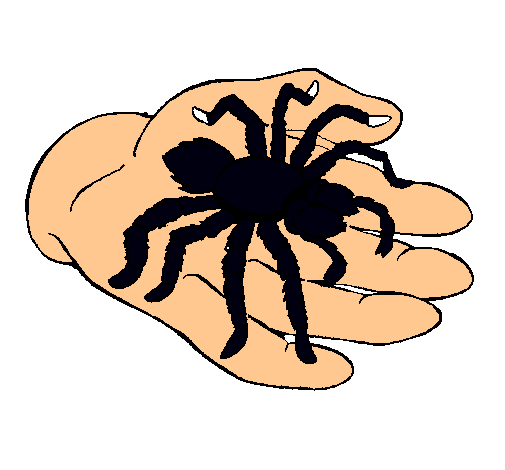 Tarántula