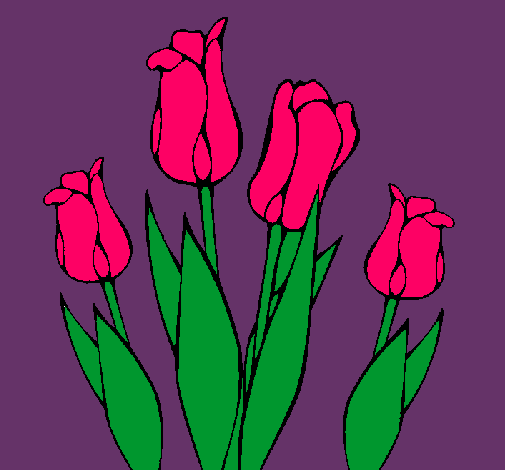 Tulipanes