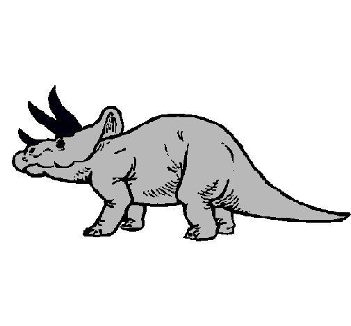 Triceratops