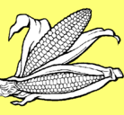 Dibujo Mazorca de maíz pintado por MAIZ