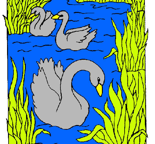 Cisnes