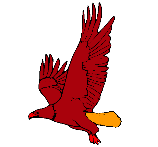 Águila volando