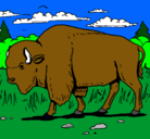 Dibujo Búfalo  pintado por Alejandro