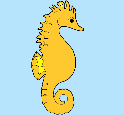 Caballito de mar