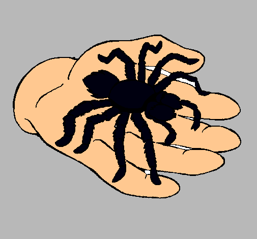 Tarántula