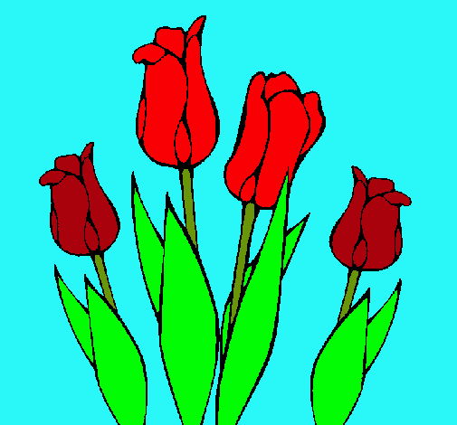 Tulipanes