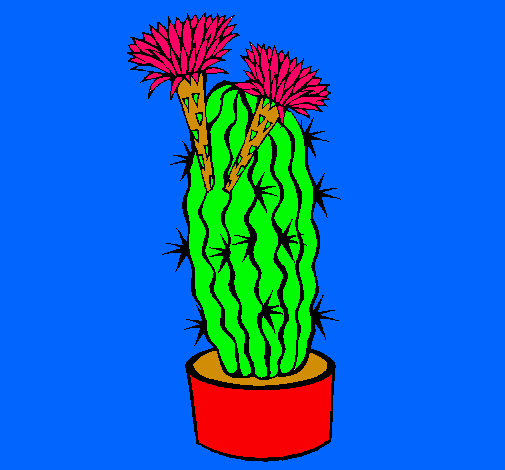 Cactus con flores