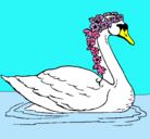 Dibujo Cisne con flores pintado por amanda