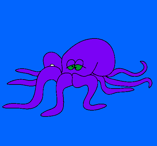 Pulpo