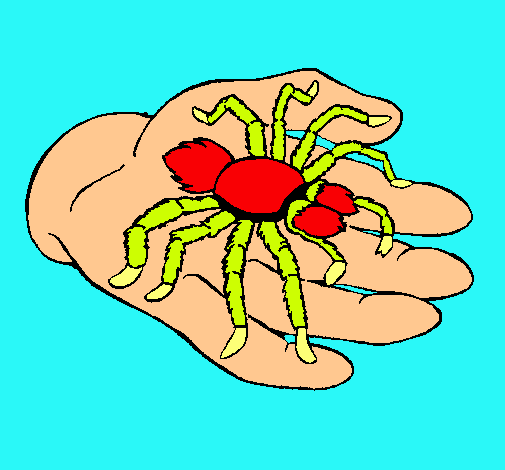 Tarántula