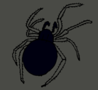 Dibujo Araña venenosa pintado por amir
