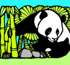 Dibujo Oso panda y bambú pintado por mariaalejandra