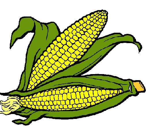 Dibujo de Mazorca de maíz pintado por Elote en  el día 13-10-10  a las 04:40:41. Imprime, pinta o colorea tus propios dibujos!