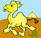 Dibujo Camello pintado por aimmy