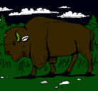 Dibujo Búfalo  pintado por oliver