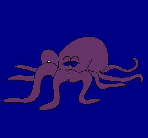 Pulpo