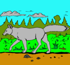 Dibujo Coyote pintado por yarimar