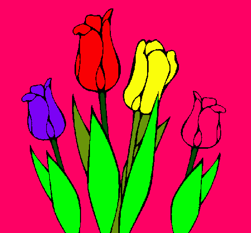 Tulipanes