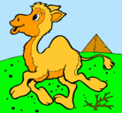Dibujo Camello pintado por noely