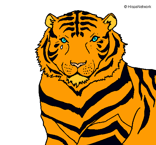 Tigre