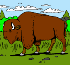 Dibujo Búfalo  pintado por rodri