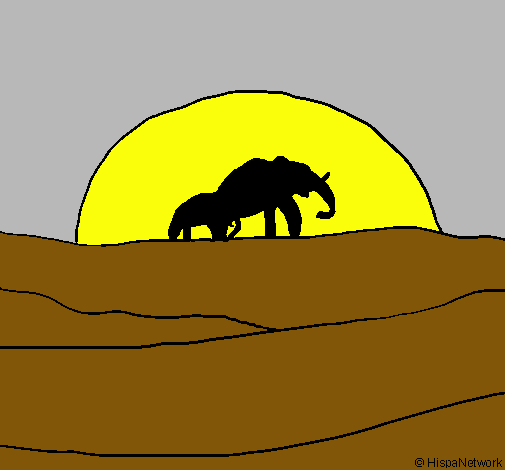 Elefante en el amanecer