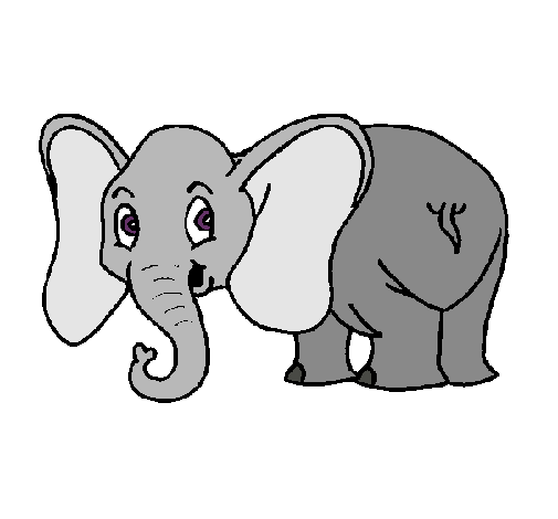 Elefante pequeño