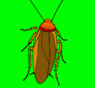 Dibujo Cucaracha pintado por cristian