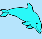 Dibujo Delfín contento pintado por ani