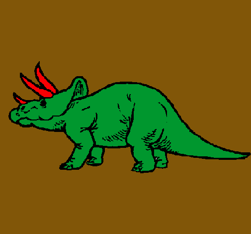 Triceratops