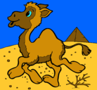 Dibujo Camello pintado por xxxxxx
