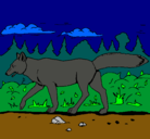 Dibujo Coyote pintado por andres