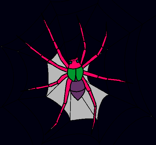 Araña