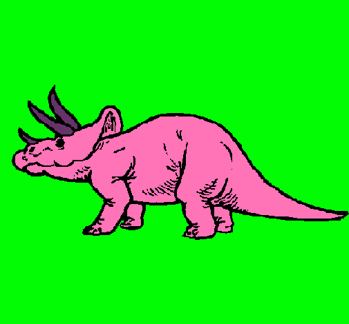 Triceratops