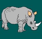 Dibujo Rinoceronte pintado por yael