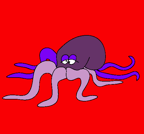 Pulpo