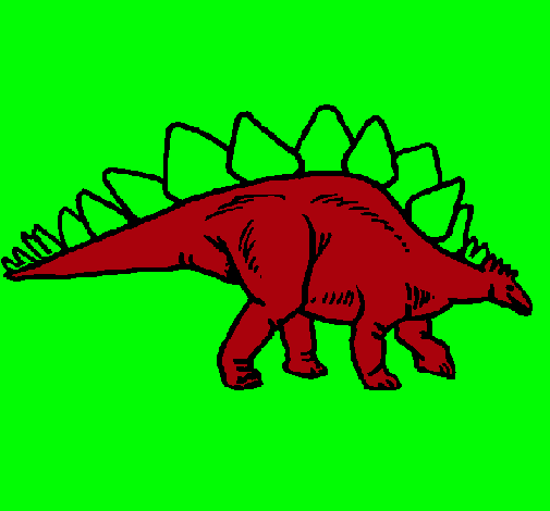 Stegosaurus