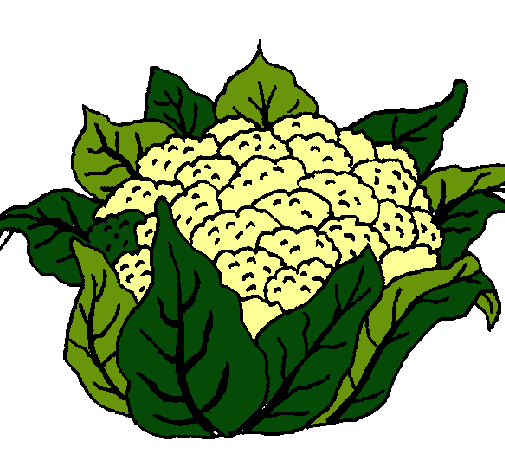 coliflor