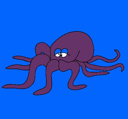 Pulpo