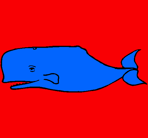 Ballena azul