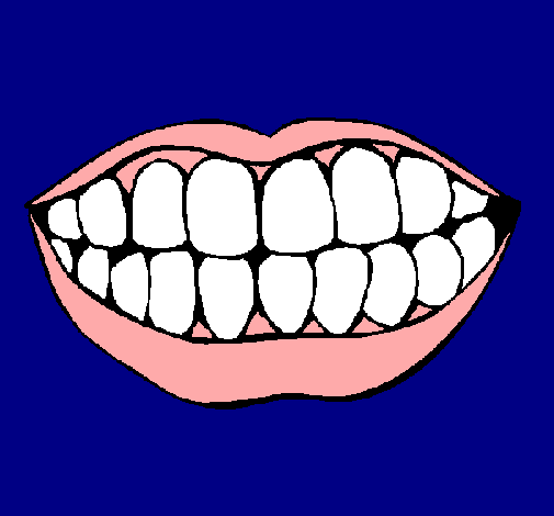 Boca y dientes