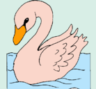 Dibujo Cisne pintado por gean