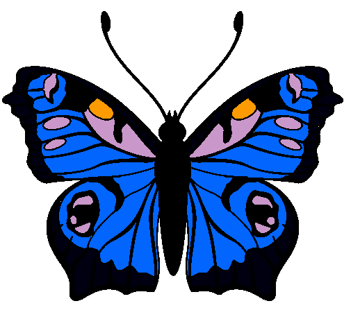 Mariposa 