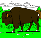 Dibujo Búfalo  pintado por santinou
