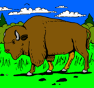 Dibujo Búfalo  pintado por luis