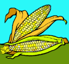 Dibujo Mazorca de maíz pintado por DAVID